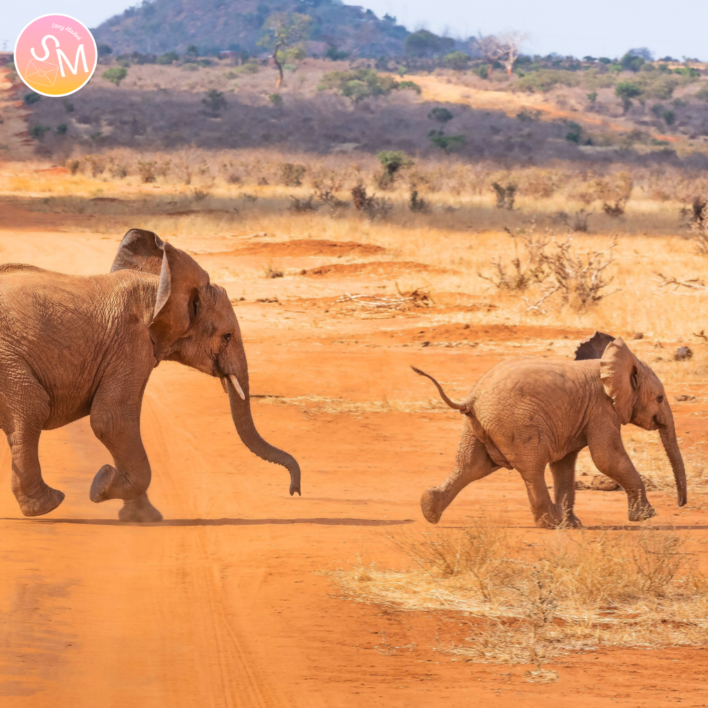 Letters from Kenya (6-Month Story Letter Series)