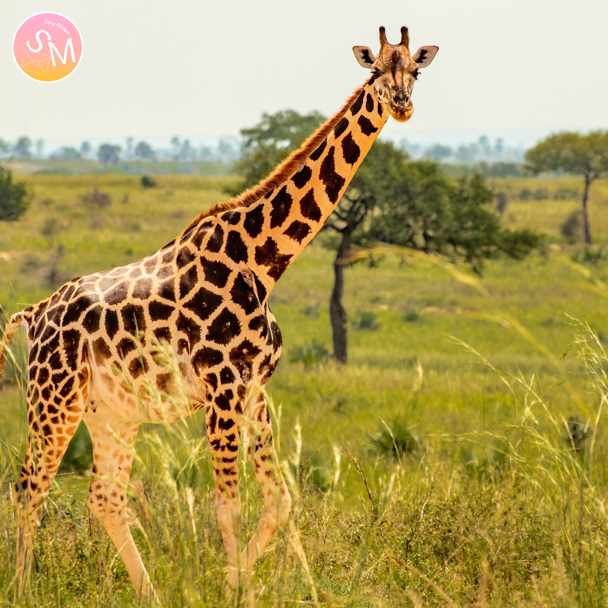 Letters from Kenya (6-Month Story Letter Series)